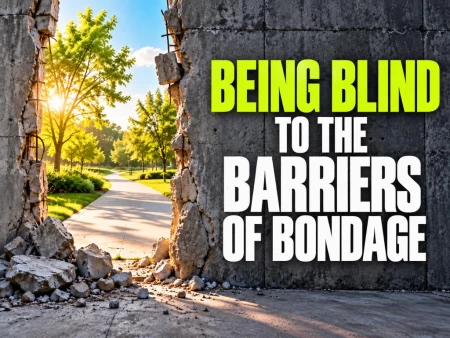 Being Blind to the Barriers of Bondage